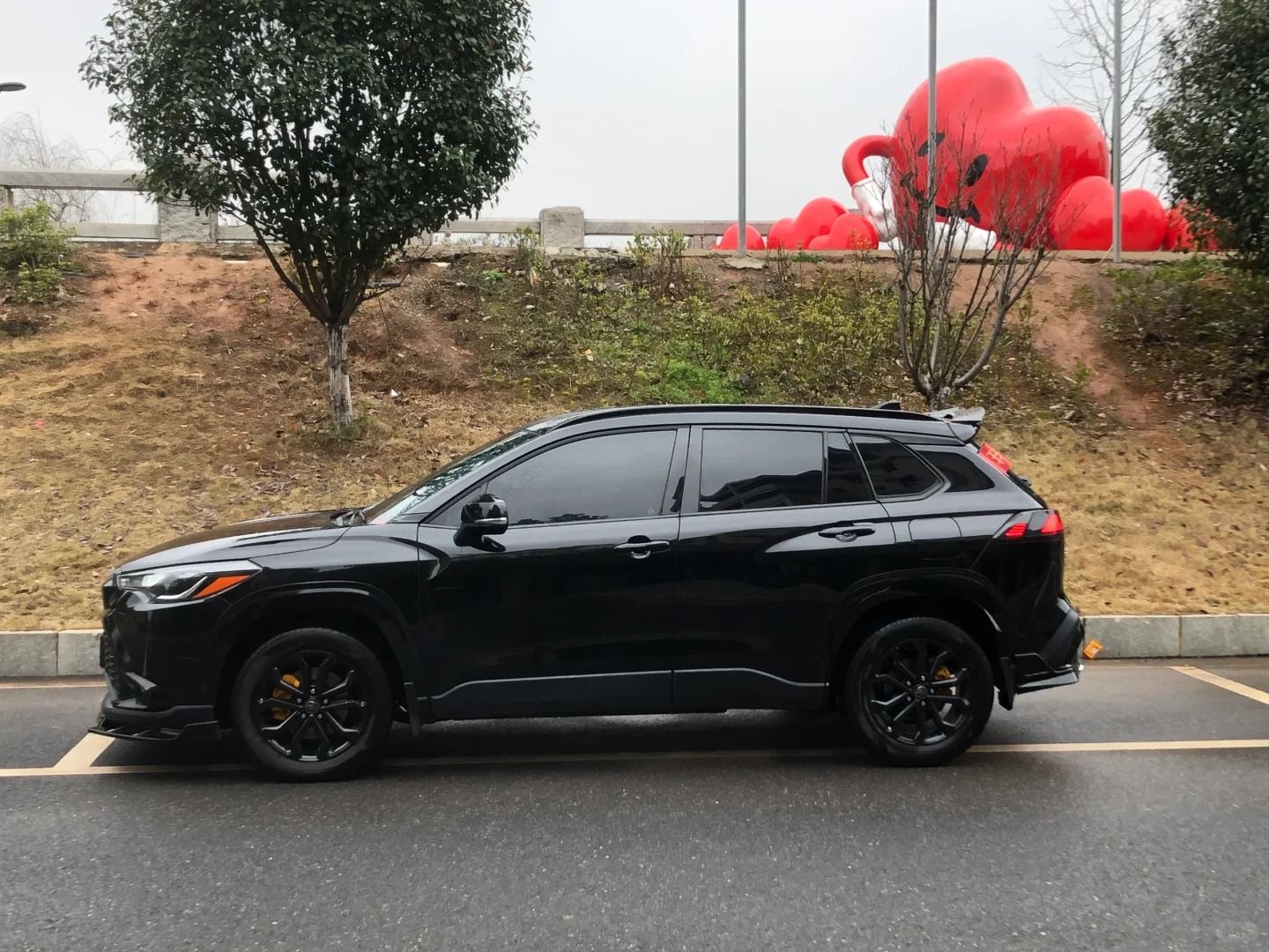 Toyota Corolla Cross Car