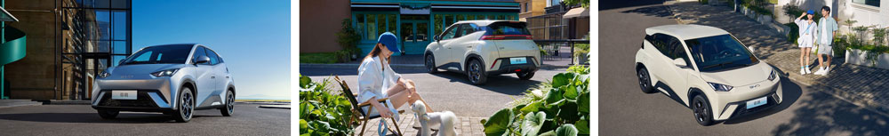 BYD Seagull BYD Seagull